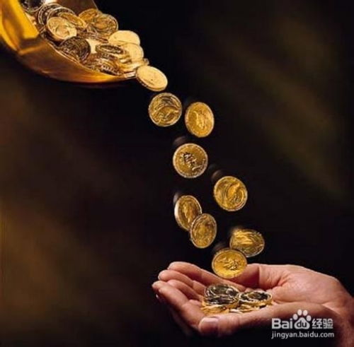 风险投资入门 投资者必读的资产管理课
