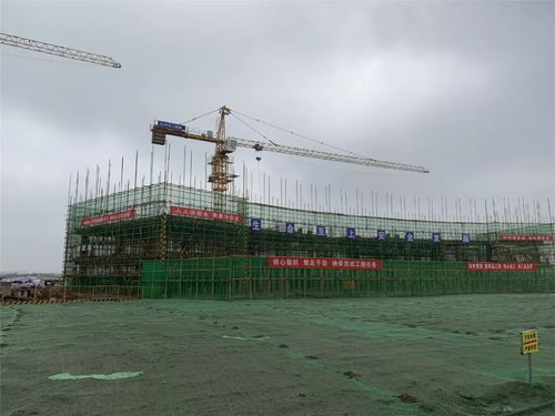 武汉地产集团建筑产业化生产基地落户黄岡 区域协作与资产管理新突破